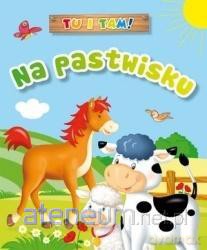 Tu i tam! Na pastwisku [KSIĄŻKA]