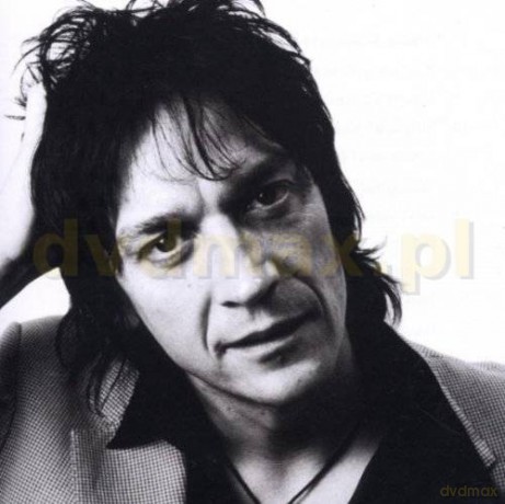 Sulo: Just Another Guy Tryin [CD]