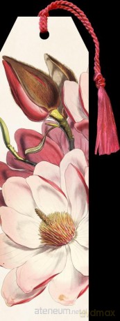 Zakładka 23 ze wstążką Magnolia różowa