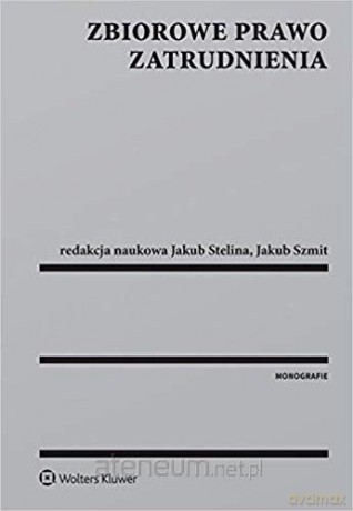 Zbiorowe prawo zatrudnienia [KSIĄŻKA]