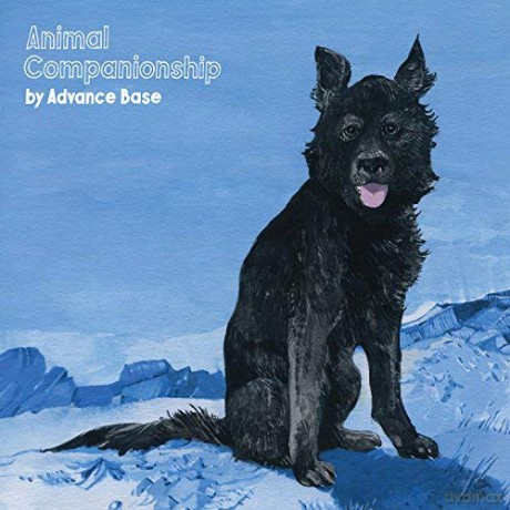 Advance Base: Animal Companionship [Winyl]