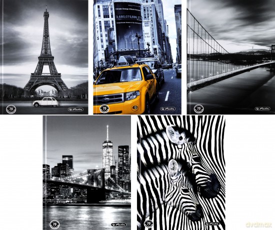 Brulion A5/96 linia Black&White