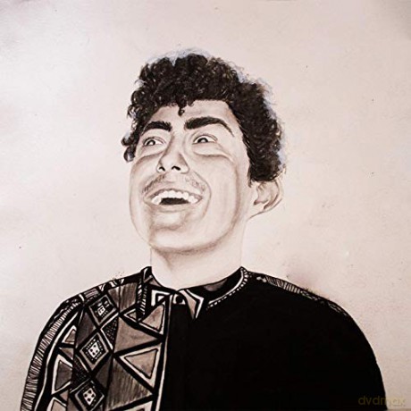 Hobo Johnson: The Rise Of Hobo Johnson [CD]