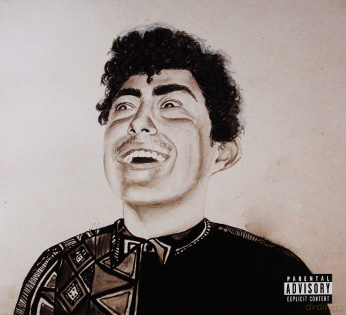 Hobo Johnson: The Rise Of Hobo Johnson [CD]