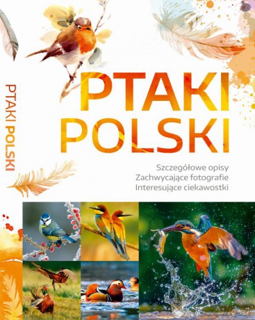 Ptaki Polski - Dominik Marchowski [KSIĄŻKA]