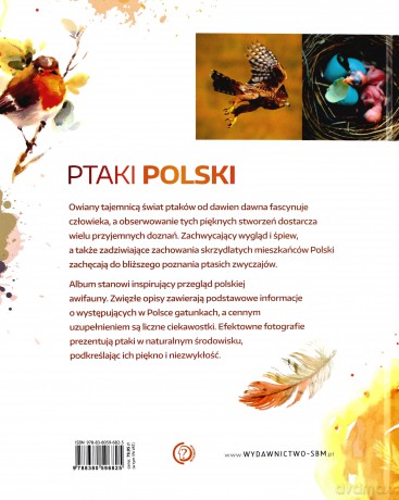 Ptaki Polski - Dominik Marchowski [KSIĄŻKA]