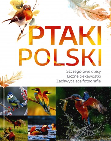 Ptaki Polski - Dominik Marchowski [KSIĄŻKA]