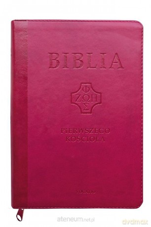 Biblia pierwszego Kościoła z paginatorami różowy - ks. Remigiusz Popowski [KSIĄŻKA]