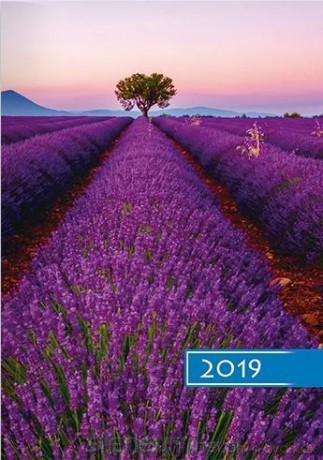 Kalendarz 2019 B6 Kolorowy lawenda [KALENDARZ]