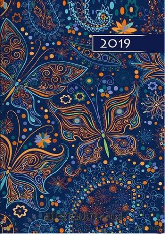 Kalendarz 2019 B6 Kolorowy motyle [KALENDARZ]