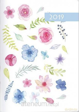 Kalendarz 2019 B7 Kolorowy akwarela [KALENDARZ]