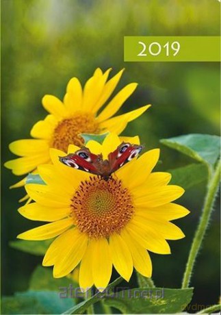 Kalendarz 2019 B7 Kolorowy kwiatek [KALENDARZ]