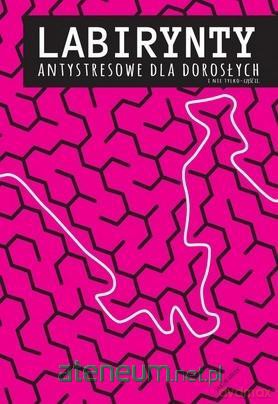 Labirynty antystresowe dla dorosłych cz. 2 - Jakub Miłek [KSIĄŻKA]
