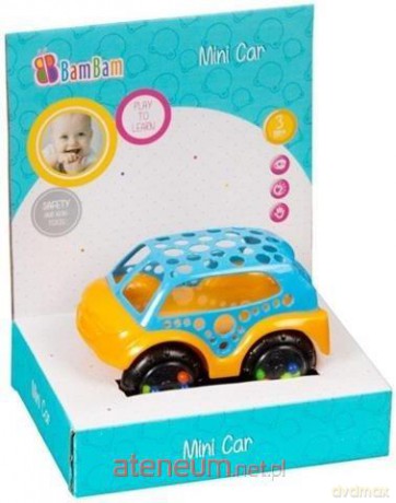 Mini autko I