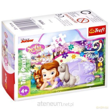 TREFL 54 el. mini Magiczny świat księżniczki 4 [PUZZLE]