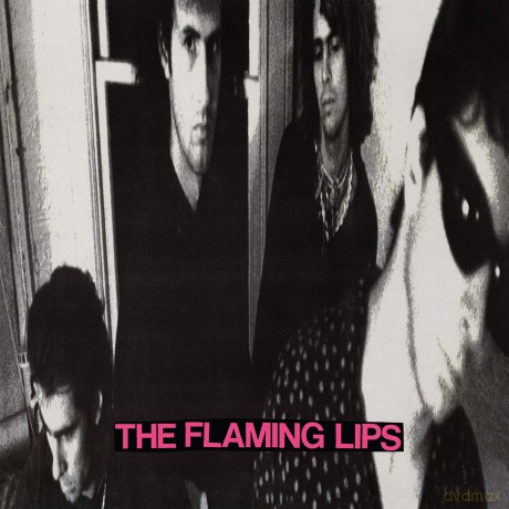 The Flaming Lips: In A Priest Driven Ambulance, With Silver Sunshine Stares [Winyl]