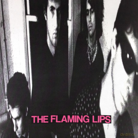 The Flaming Lips: In A Priest Driven Ambulance, With Silver Sunshine Stares [Winyl]