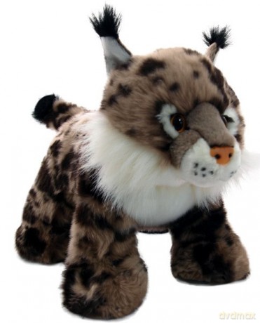 Pluszak ZOO Ryś euroazjatycki 25 cm
