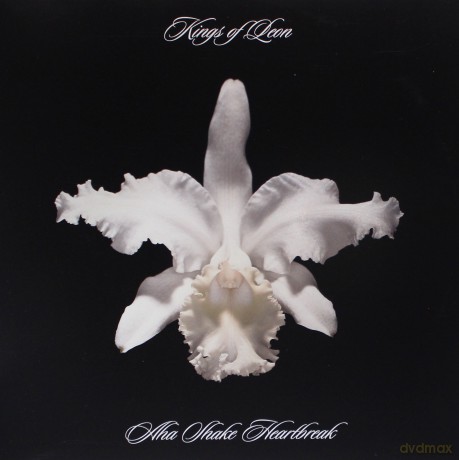 Kings Of Leon: Aha Shake Heartbreak (Colored) [2xWinyl]