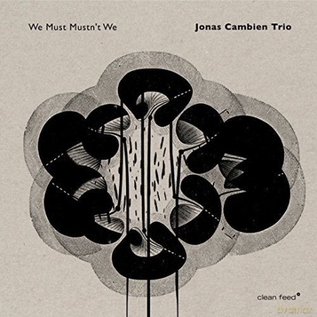 Jonas Cambien Trio: We Must Mustn't We [CD]