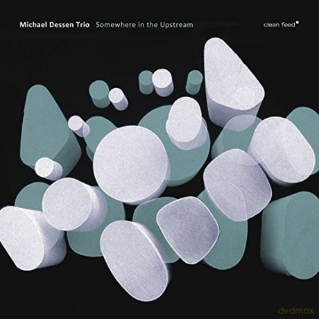 Michael Dessen Trio: Somewhere In The Upstream [CD]