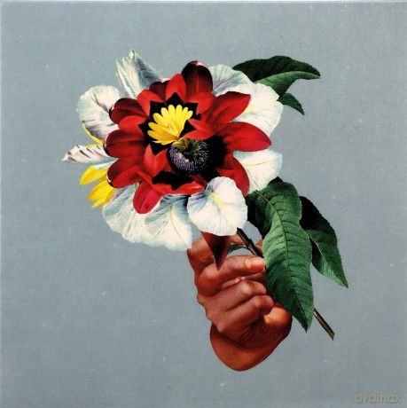 Maribou State: Kingdoms In Colour [CD]