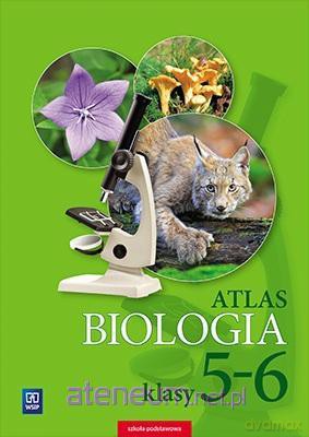 Atlas Szkoła podstawowa 5-6 Biologia [KSIĄŻKA]