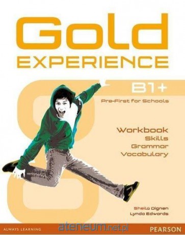 Gold Experience B1+ Language and Skills ćwiczenie [KSIĄŻKA]