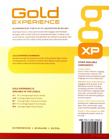 Gold Experience B1+ Language and Skills ćwiczenie [KSIĄŻKA]