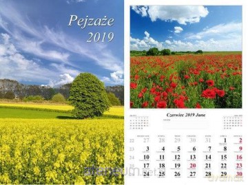 Kalendarz 2019 Pejzaże 7 planszowy [KALENDARZ]