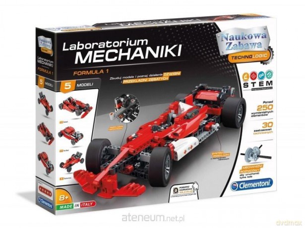 Labolatorium Mechaniki - Formuła 1