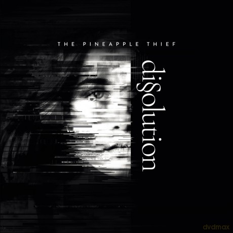 The Pineapple Thief: Dissolution (White) [Winyl]