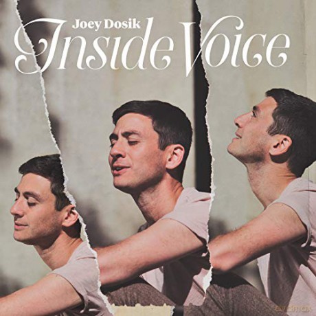 Joey Dosik: Inside Voice (digipack) [CD]