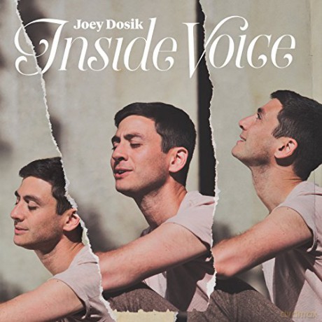 Joey Dosik: Inside Voice [Winyl]