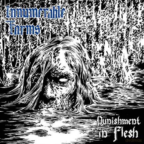 Innumerable Forms: Punishment In Flesh [CD]