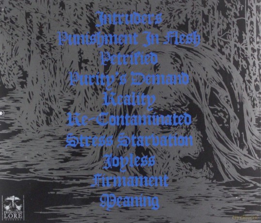 Innumerable Forms: Punishment In Flesh [CD]
