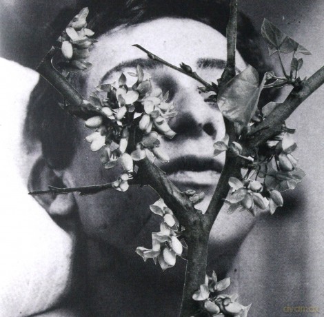 Manes: Slow Motion Death Sequence [CD]