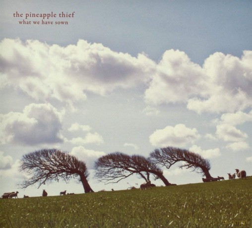 The Pineapple Thief: What We Have Sown (digipack) [CD]