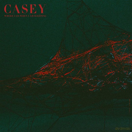 Casey: Where I Go When I Am Sleeping [Winyl]