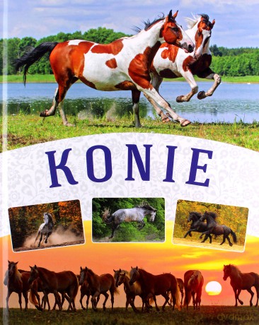 Konie - Małgorzata Mąkosa [KSIĄŻKA]