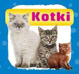 Kotki Harmonijki Małe [KSIĄŻKA]