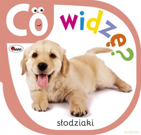 Słodziaki Co Widzę - Piotr Kozera [KSIĄŻKA]