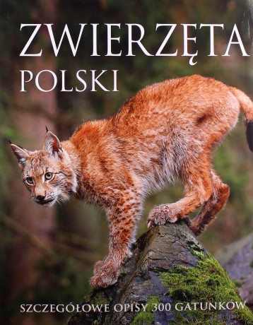 Zwierzęta Polski [KSIĄŻKA]