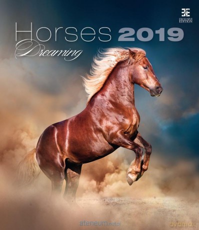 Kalendarz 2019 Konie Ex [KALENDARZ]