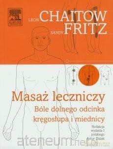 Masaż leczniczy [KSIĄŻKA]