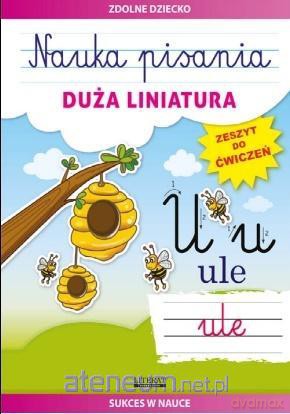 Nauka pisania. Duża liniatura. Zeszyt do ćwiczeń - Beata Guzowska [KSIĄŻKA]