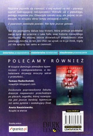 Trylogia Lake Falls - Artur K. Dormann [KSIĄŻKA]