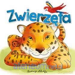 Zwierzęta [KSIĄŻKA]