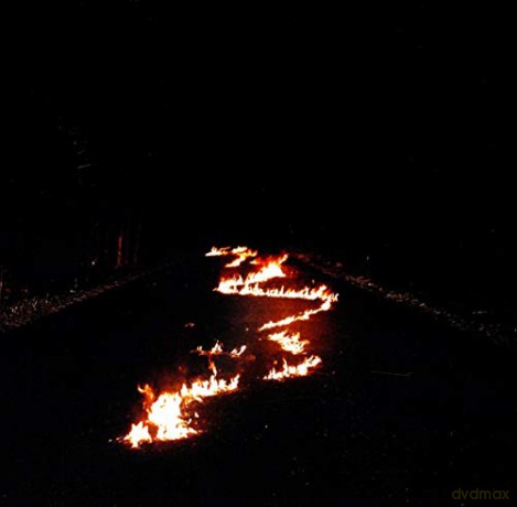 Bob Moses: Battle Lines [CD]