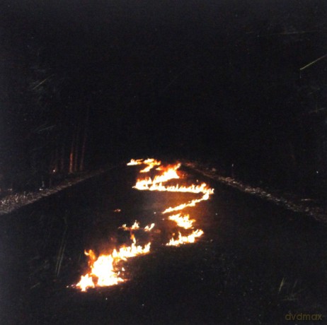 Bob Moses: Battle Lines [CD]